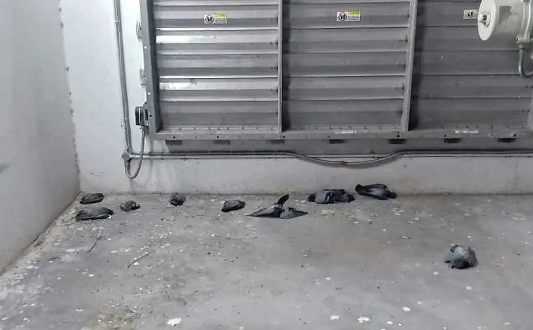 metro