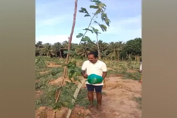 minister poured water on the saplings