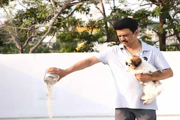  Chief Minister M.K. Stalin's appeal Let provide water and food to the birds