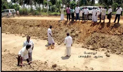 mla