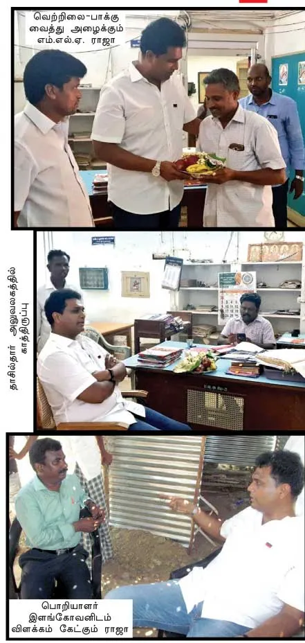 mla