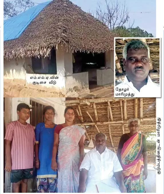 mla