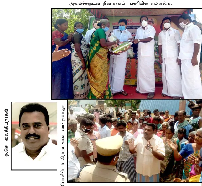 mla