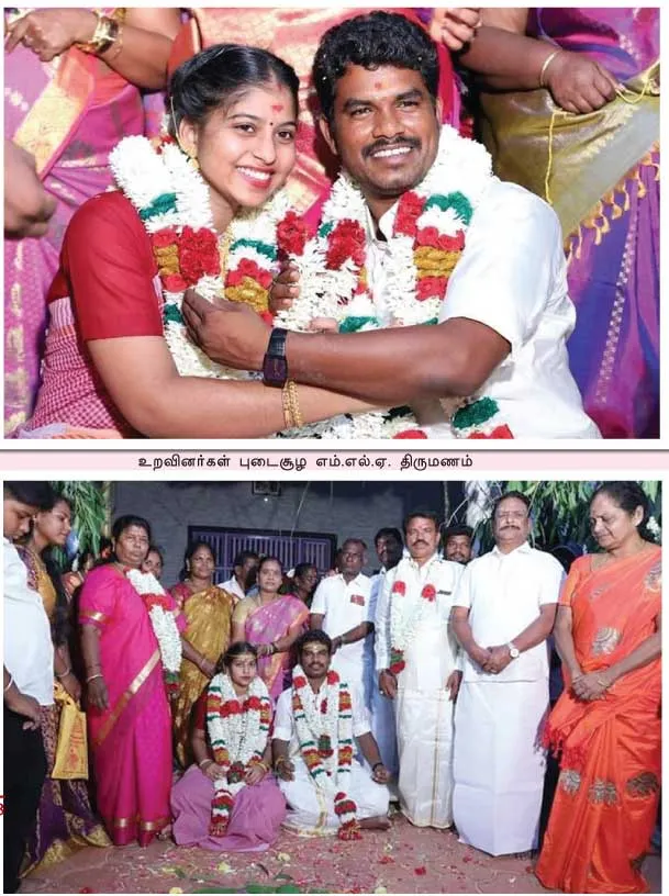 mla