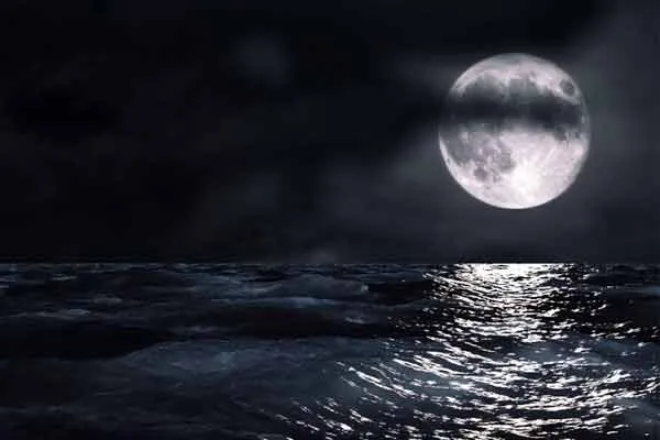 The roses and the moon are not distance from us