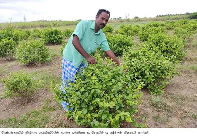 farmer who left seven acres of occupied land ... accumulating compliments!