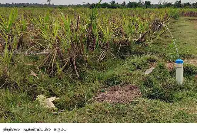 farmer who left seven acres of occupied land ... accumulating compliments!