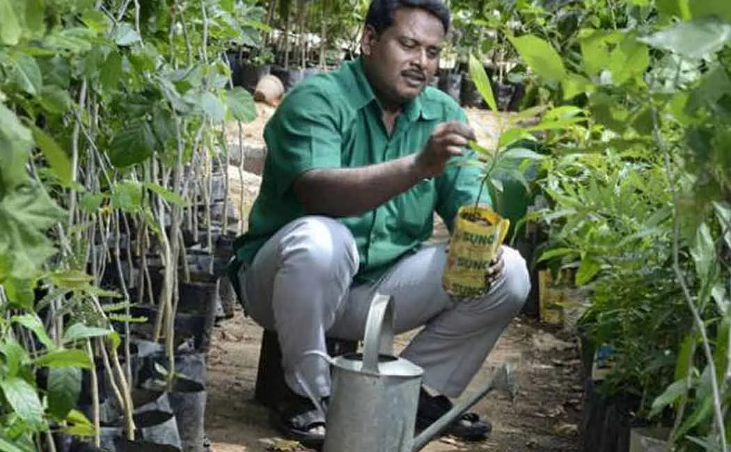 tree man mullaivanam 