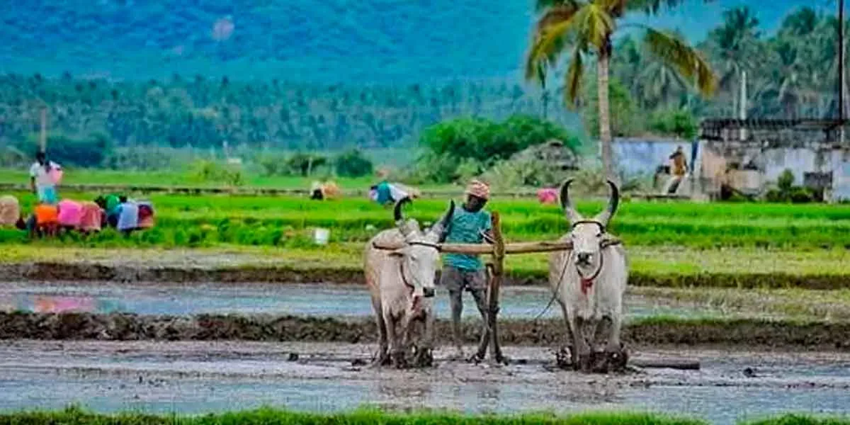 Farmers subsidy freeze! 2 lakh crore mega corruption in Prime Minister's plan!
