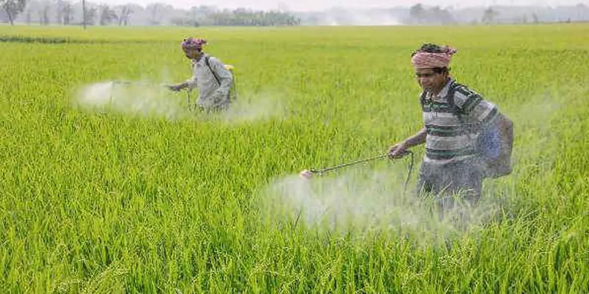  Ordinance to allocate funds for the crop insurance scheme!