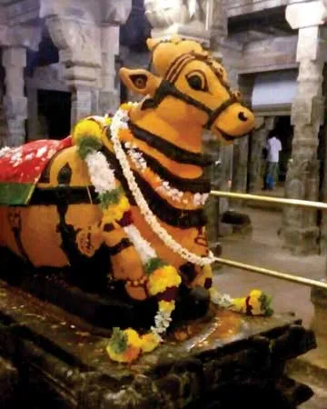 nandhi