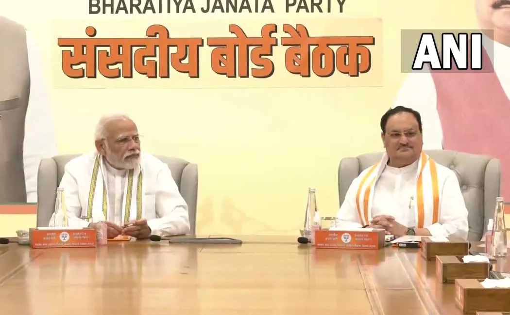 nda loses presidential election Announcement of the candidate contesting on behalf of!