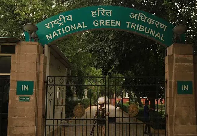 national green tribunal members union government chennai high court order 