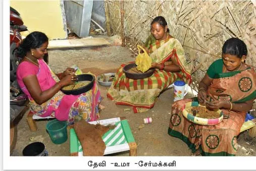 nellai
