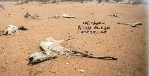 ee