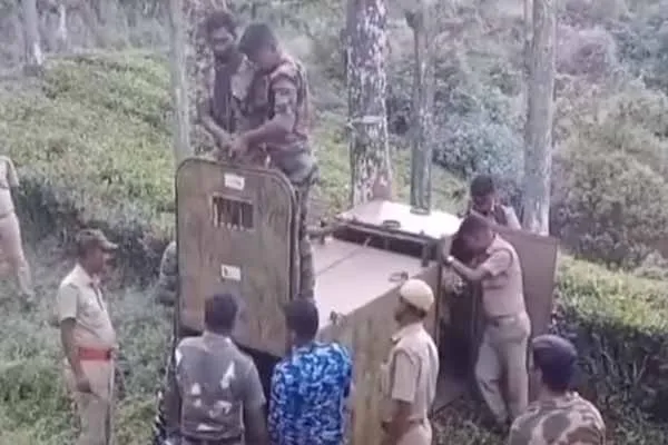 Leopard that threatened the public The forest department administered the anesthetic