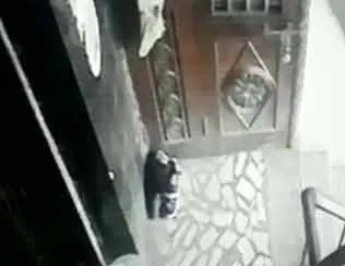 arrest 