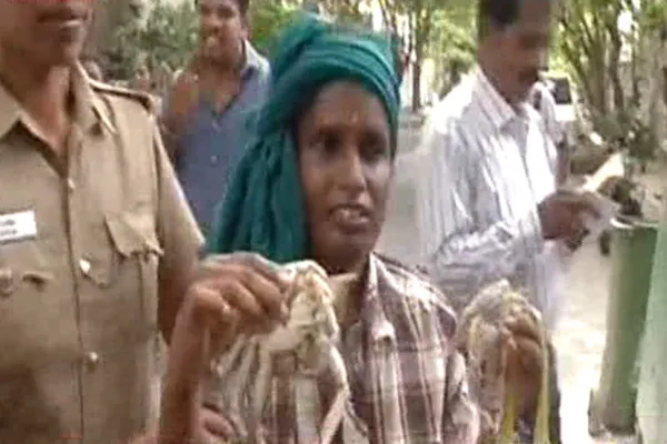 nandu