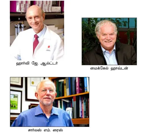 nobel