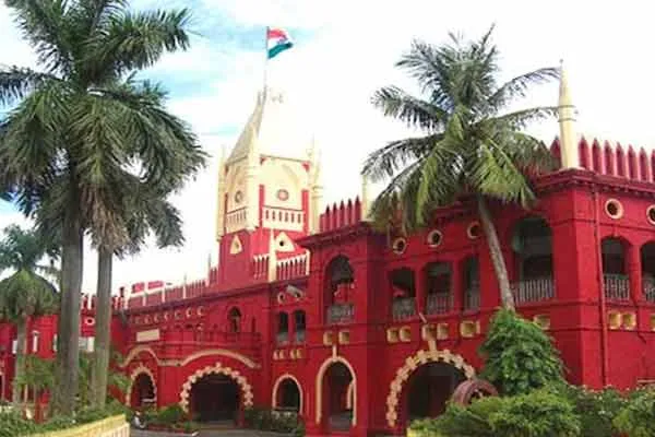 Bail granted to man who stole electricity poles and ordered to plant 200 saplings