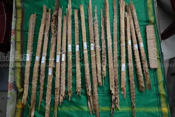 tamil vedam thiruvaimozhi text composed by nammalvar discovery palm leaf text 