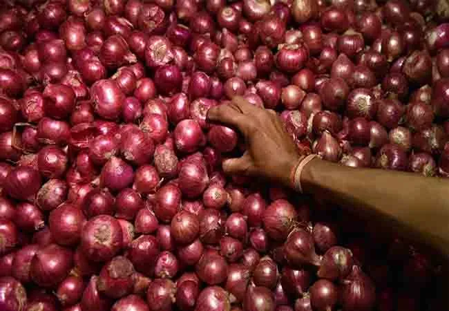 onion storage union government announced 2 tons only 