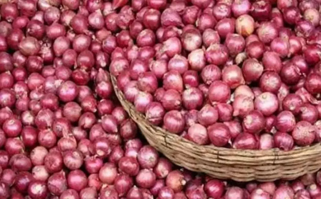 The central government is stocking onions to an unprecedented level!