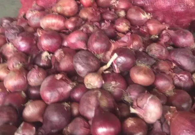 egypt onion import to union government tutikurin port 