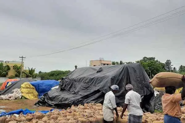 Farmers demand that the shortage of sacks at direct paddy procurement centers 
