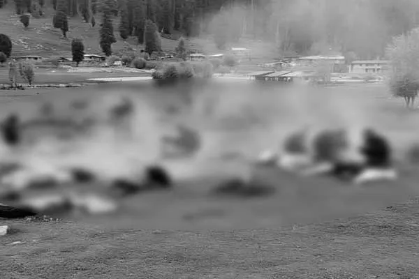 Pahalgam  incident photo drawing released