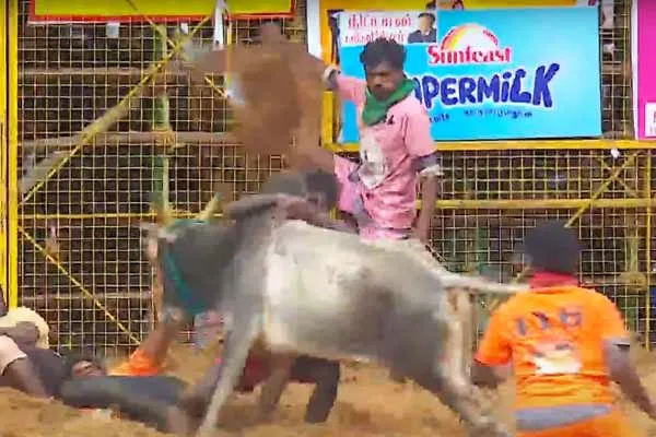 Disqualified players on palamedu Jallikattu