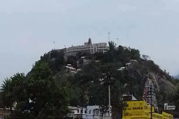 palani murugan temple intermediate agent issue 