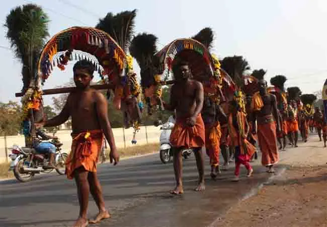 palani thaipusam festival salem district edappadi peoples 