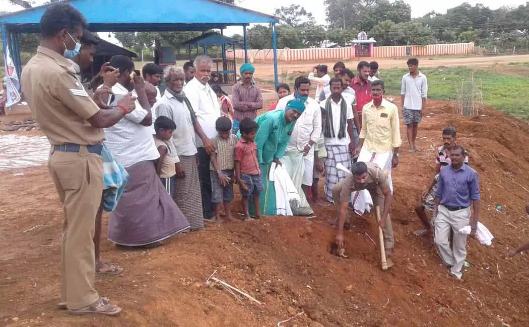 Palm planting program 