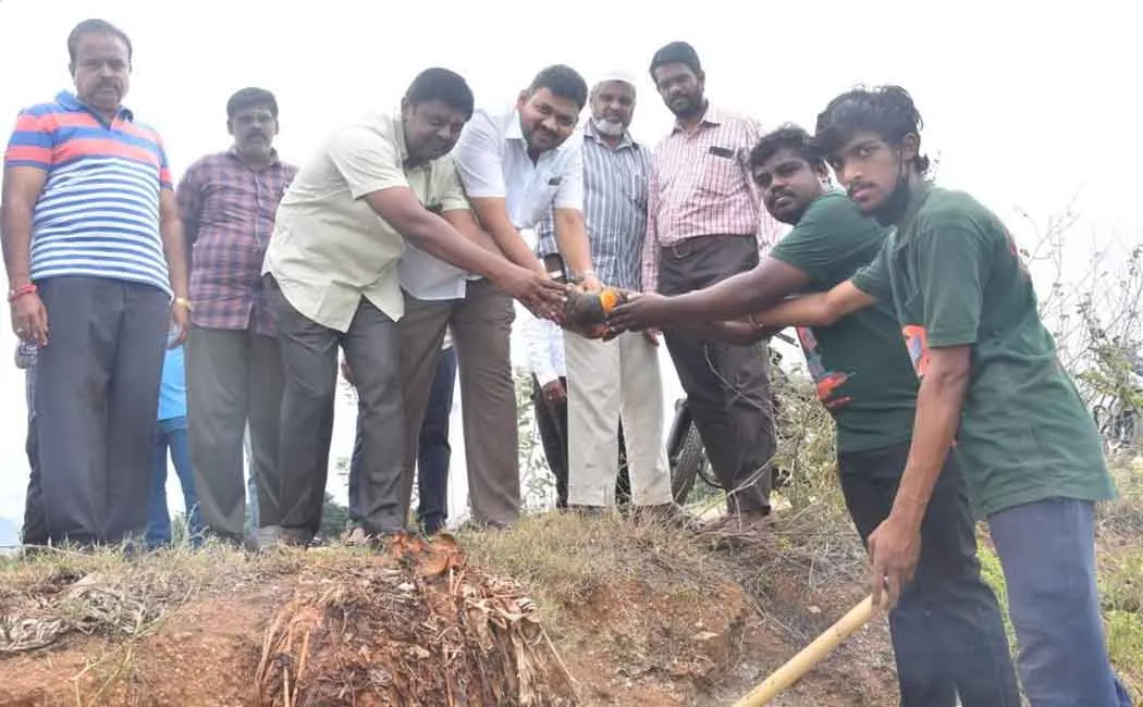 Theni District Volunteers on Palm Planting