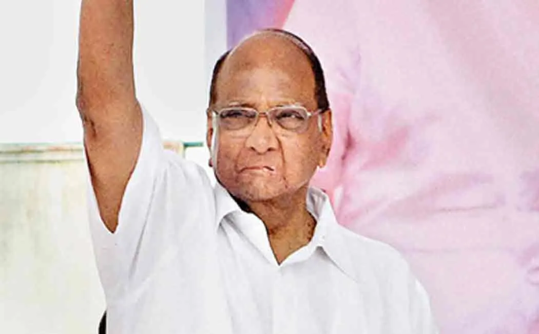 sharad pawar campaingning in maharashtra 