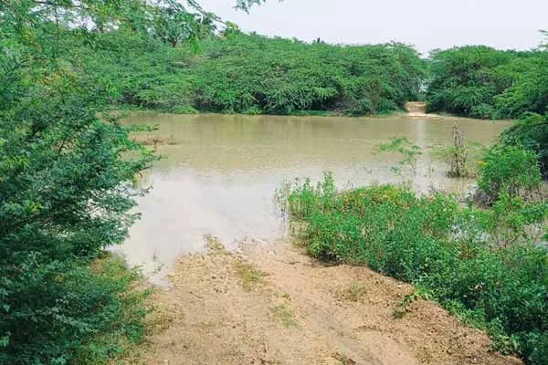 Negligence of authorities The tragedy of two children