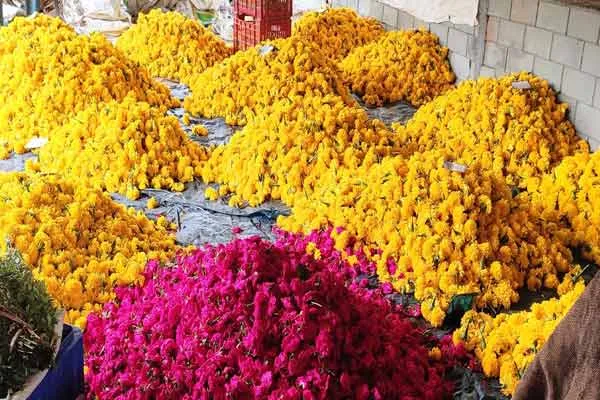 Flowers for sale ahead of Ayudha Puja