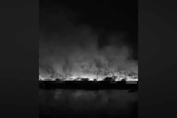 Chennai Medavakkam Swamp area fire incident