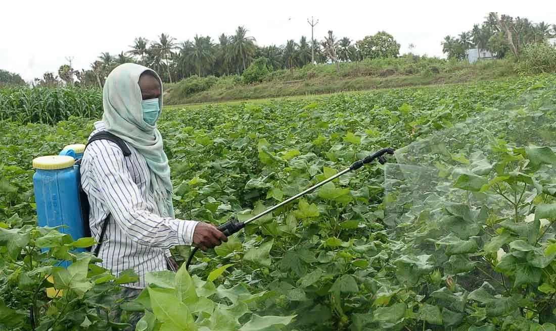 pesticide