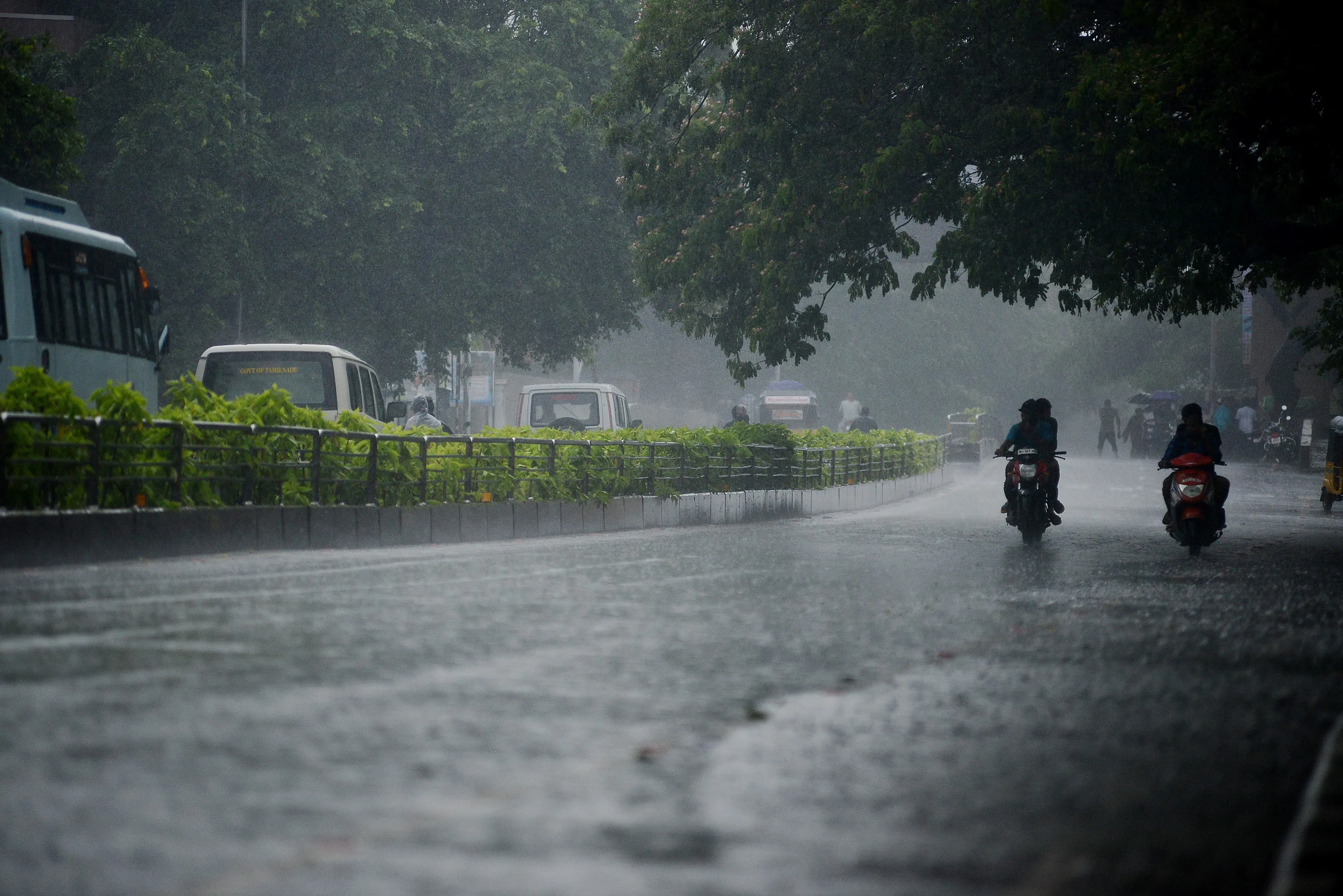 rain