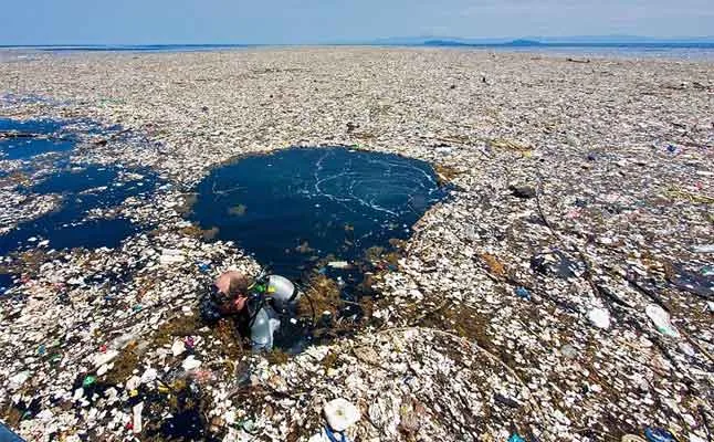 danger of plastic
