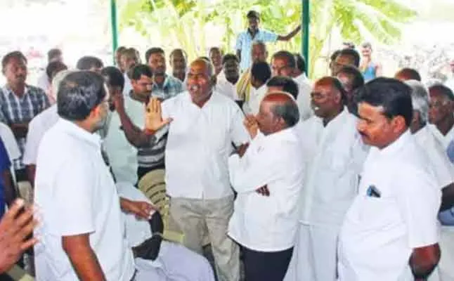 pongal