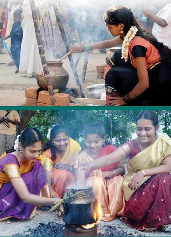 pongal