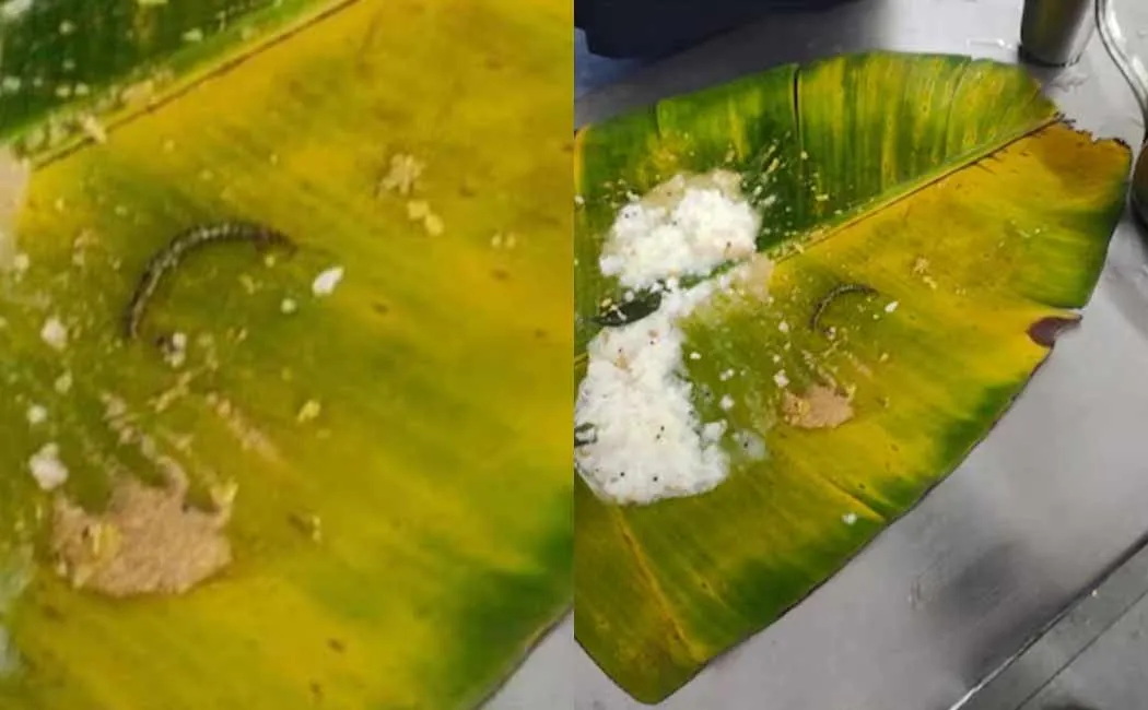 Pooran in Tirupati Annaprasad?