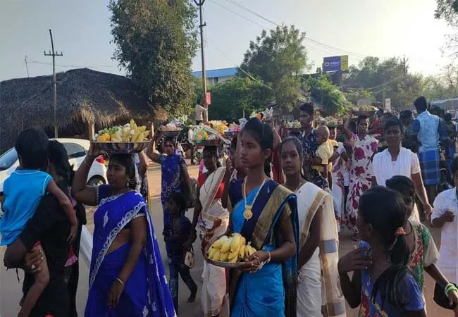 pudukkottai horse Palangudiyinar seer peoples road 