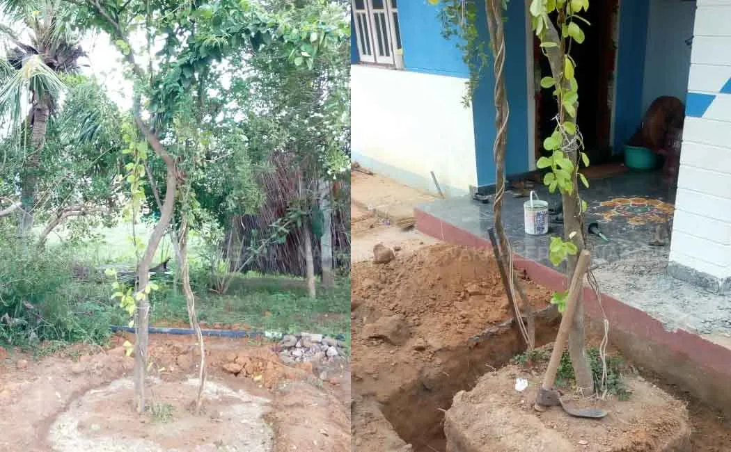 pudukottai 
