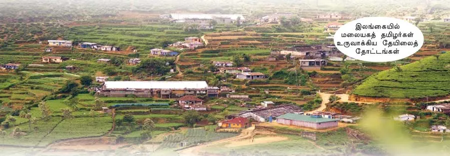 pulamaipithan