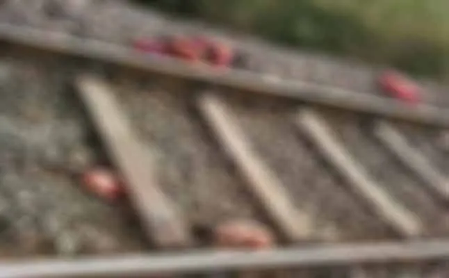 train 