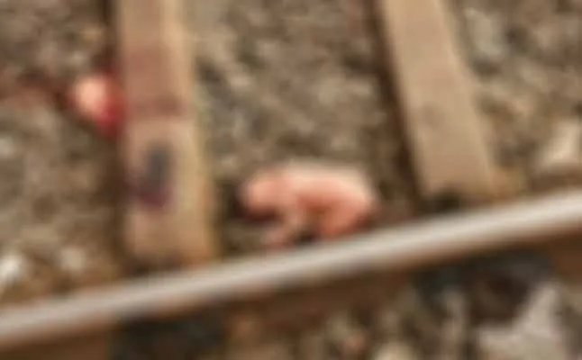 train 